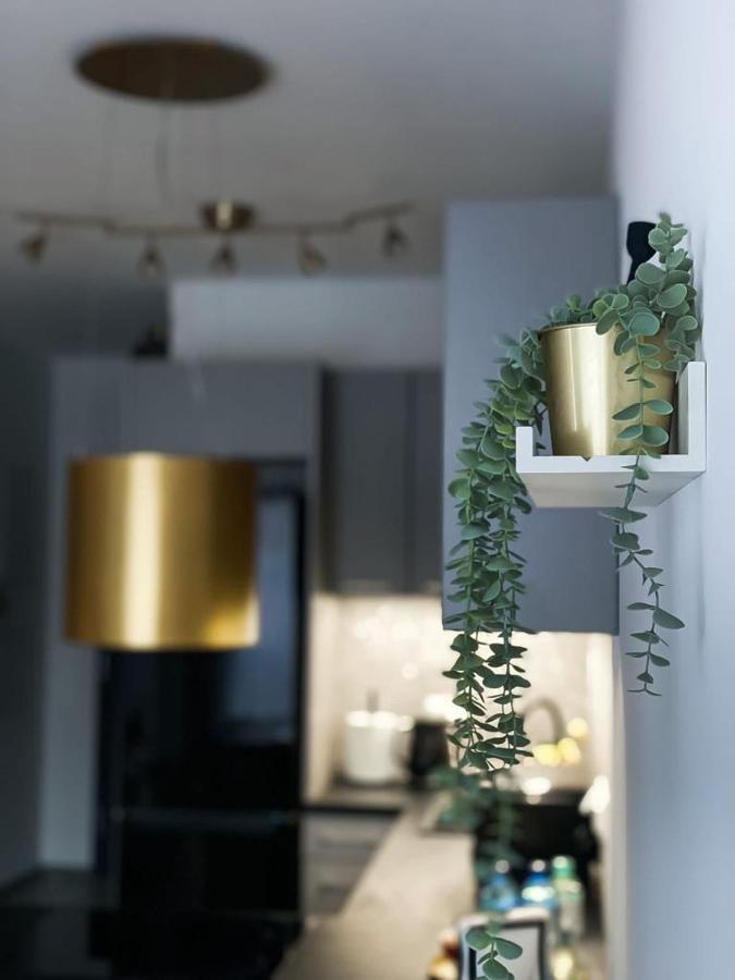 Apartament Przy Karmelu Przemyśl 外观 照片